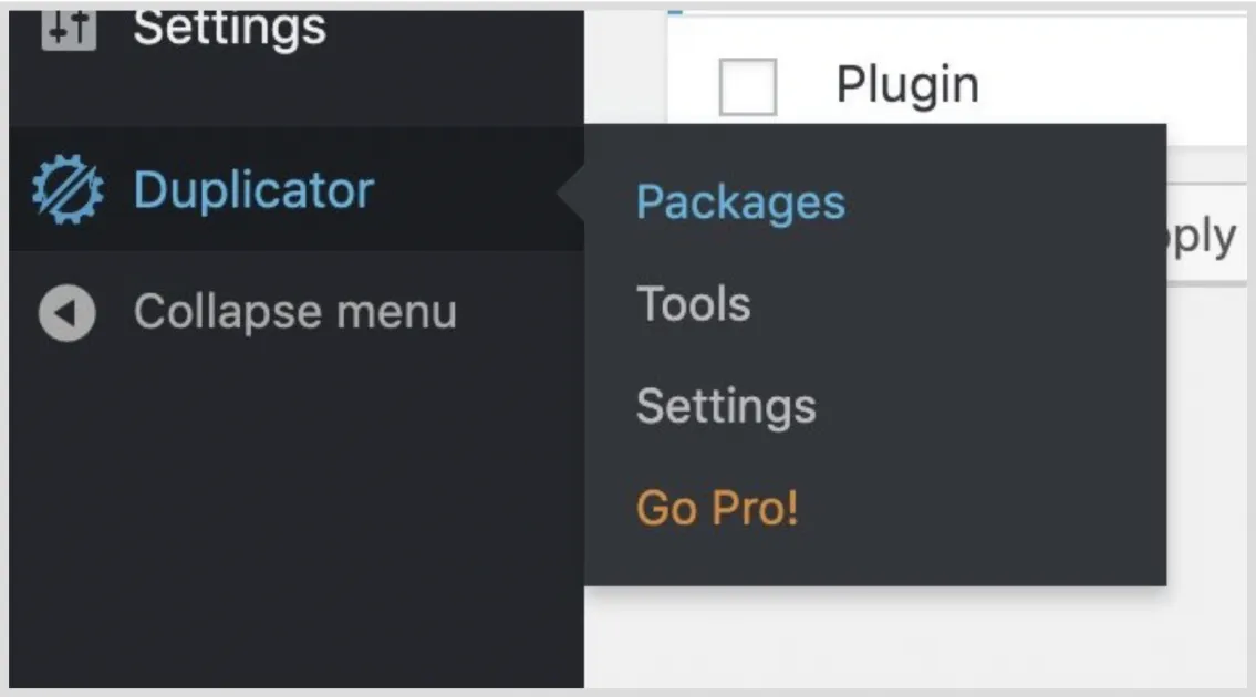 Hướng dẫn clone WordPress website bằng Duplicator 34 Truy cập vào Packages trong Duplicator