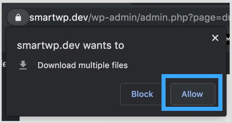 Hướng dẫn clone WordPress website bằng Duplicator 39 Nhấn Allow để đồng ý tải nhiều file