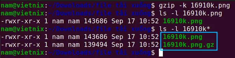 Lệnh gzip