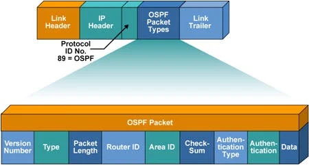 Giao thức OSPF là gì? Cách thức hoạt động của giao thức OSPF 10 gói tin OSPF