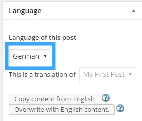 WPML là gì? Cách tạo một Website đa ngôn ngữ với WPML 46 Hỗ trợ chuyển đổi ngôn ngữ với WPML