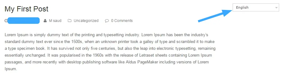 WPML là gì? Cách tạo một Website đa ngôn ngữ với WPML 48 Website tiếng Anh sau khi đổi ngôn ngữ bằng WPML