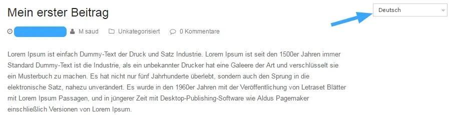 WPML là gì? Cách tạo một Website đa ngôn ngữ với WPML 49 Website tiếng Đức sau khi đổi ngôn ngữ bằng WPML
