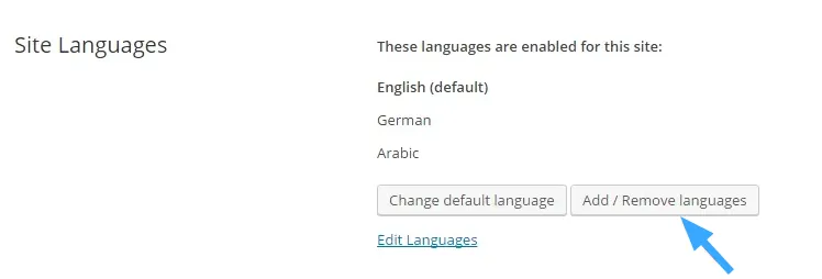 WPML là gì? Cách tạo một Website đa ngôn ngữ với WPML 50 Thêm ngôn ngữ Ả Rập băng WPML