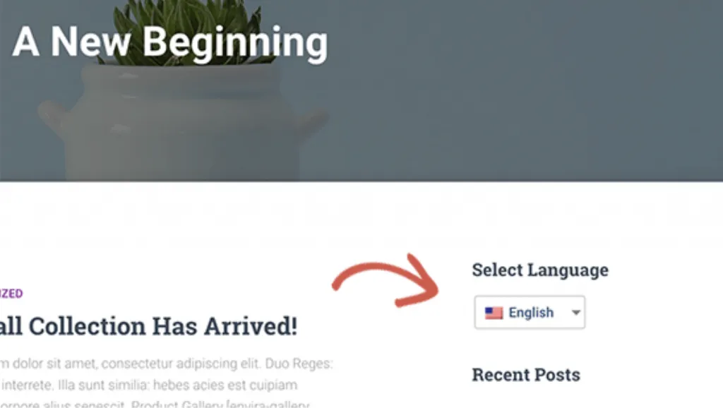 Hướng dẫn thêm thêm Language Switcher vào website 