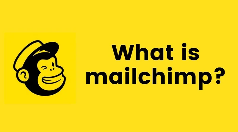 Marketing Tool là gì? Top 10 công cụ mà người làm marketing cần biết 34 Mailchimp là gì