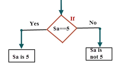 Perl là gì? Ứng dụng của ngôn ngữ lập trình Perl 58 image 28