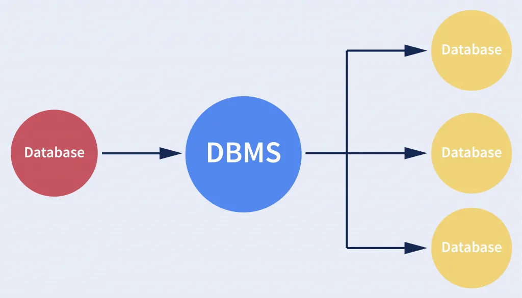 Quản lý Data Dictionary