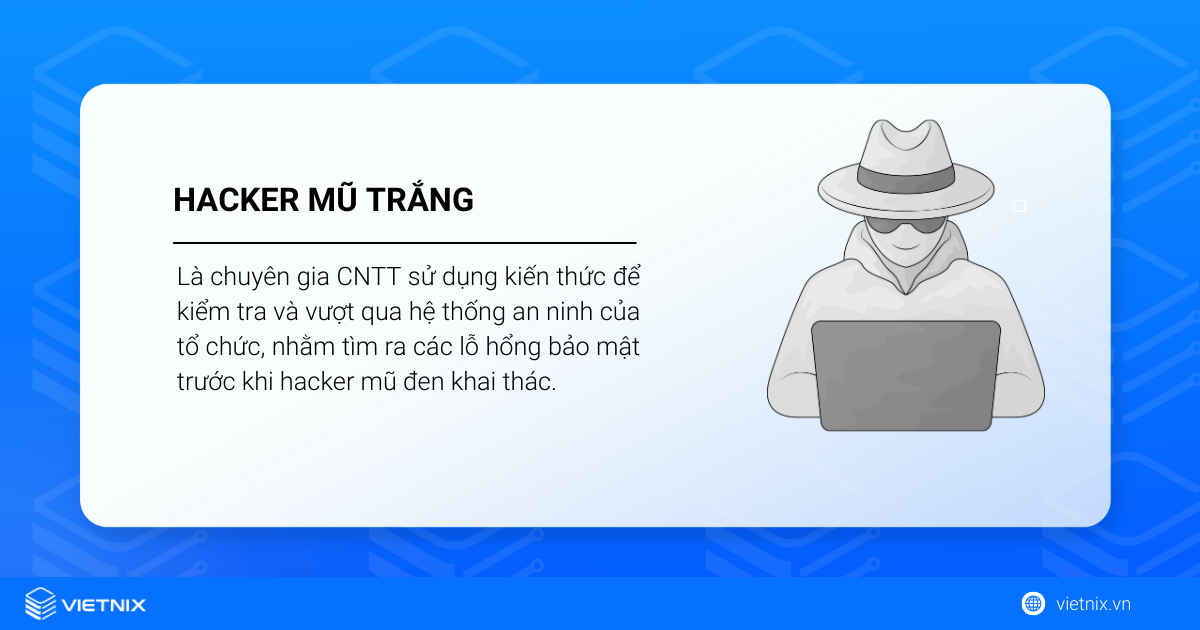 Hacker mũ trắng là gì? Học gì để trở thành Hacker mũ trắng? 9 Hacker mũ trắng là gì?
