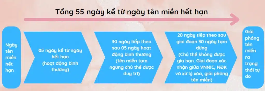 Vòng đời tên miền Việt Nam