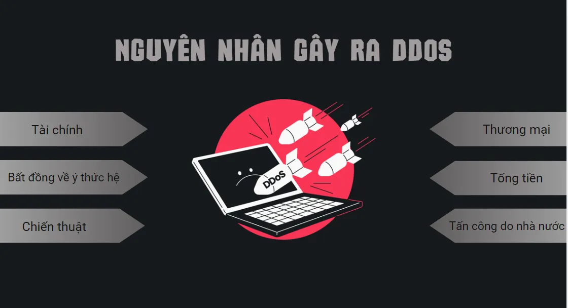 Nguyên nhân dẫn đến tấn công DDoS