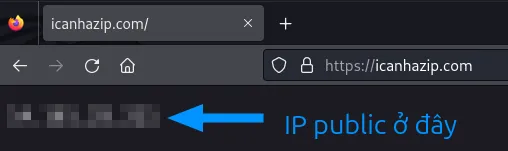 kiem tra dia chi ip public