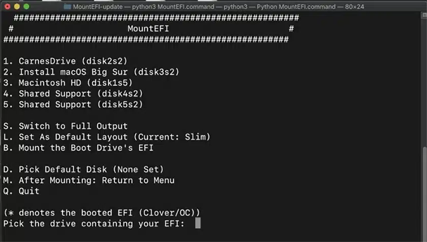 OpenCore là gì? Cách cài đặt Hackintosh bằng OpenCore nhanh chóng 18 Chọn Install MacOS Big Sur