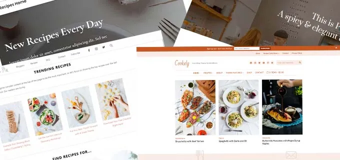 Cách tạo food blog bằng WordPress đơn giản 44 Chọn theme cho food blog