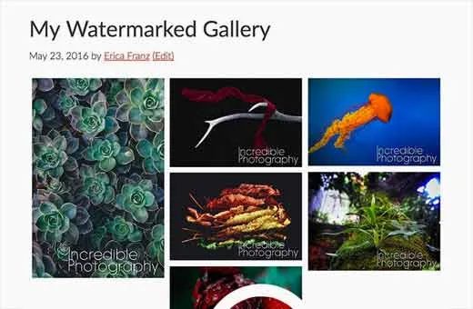 Image gallery trong WordPress có watermark