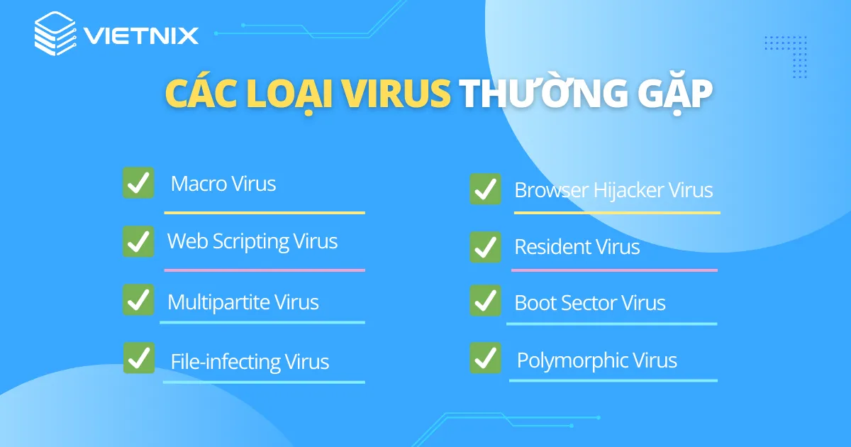 Các loại virus thường gặp