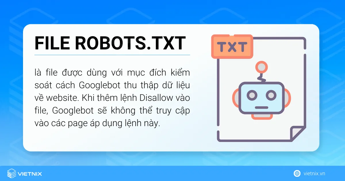 File robots.txt là gì?