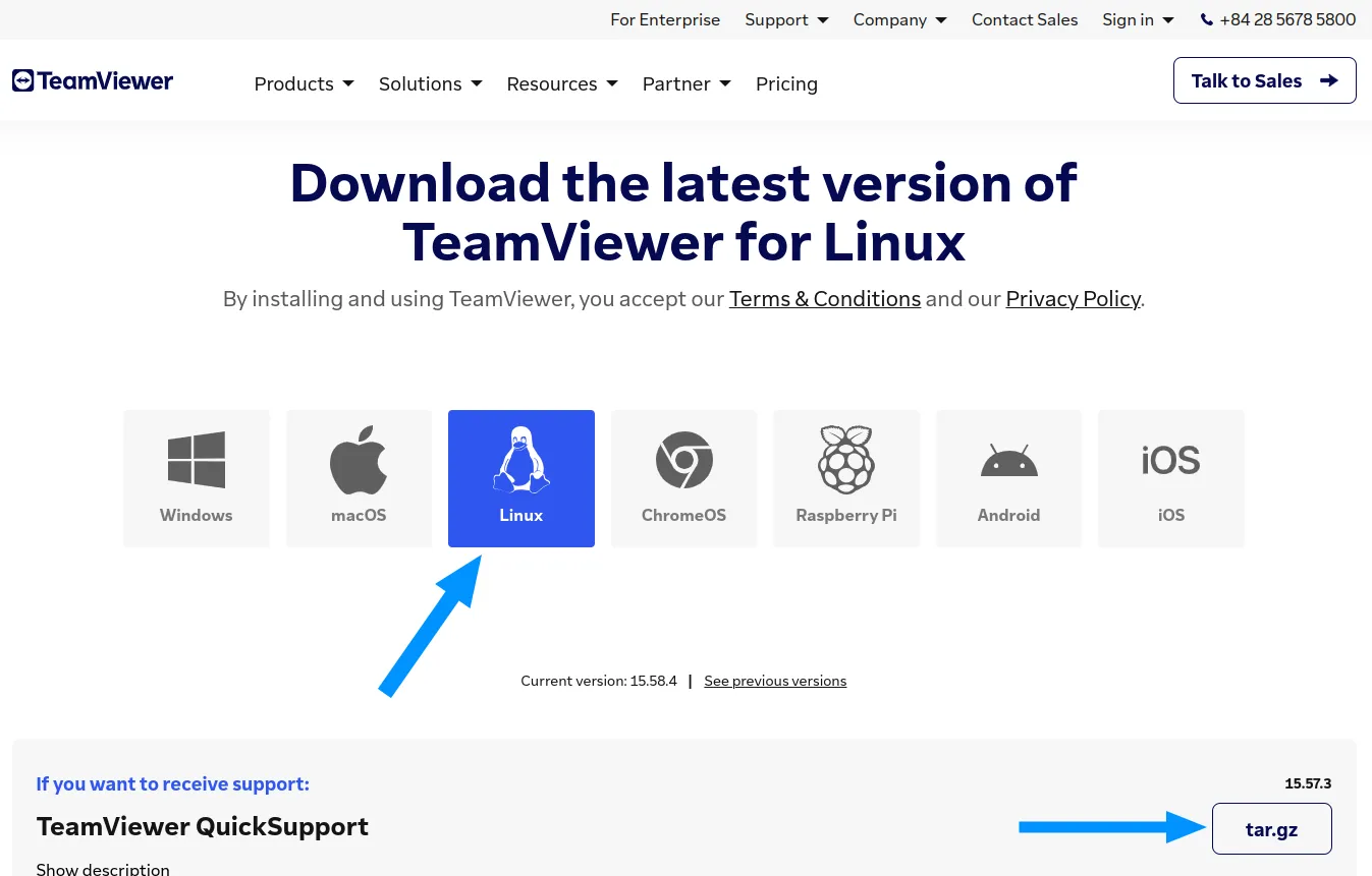 Giao diện trang download TeamViewer