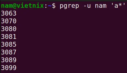 Hướng dẫn kill process trong Linux nhanh chóng 6 Tìm PID bằng lệnh pgrep