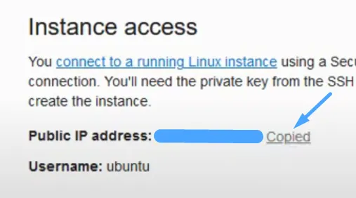Copy IP public của VPS mới tạo để đăng nhập qua SSH