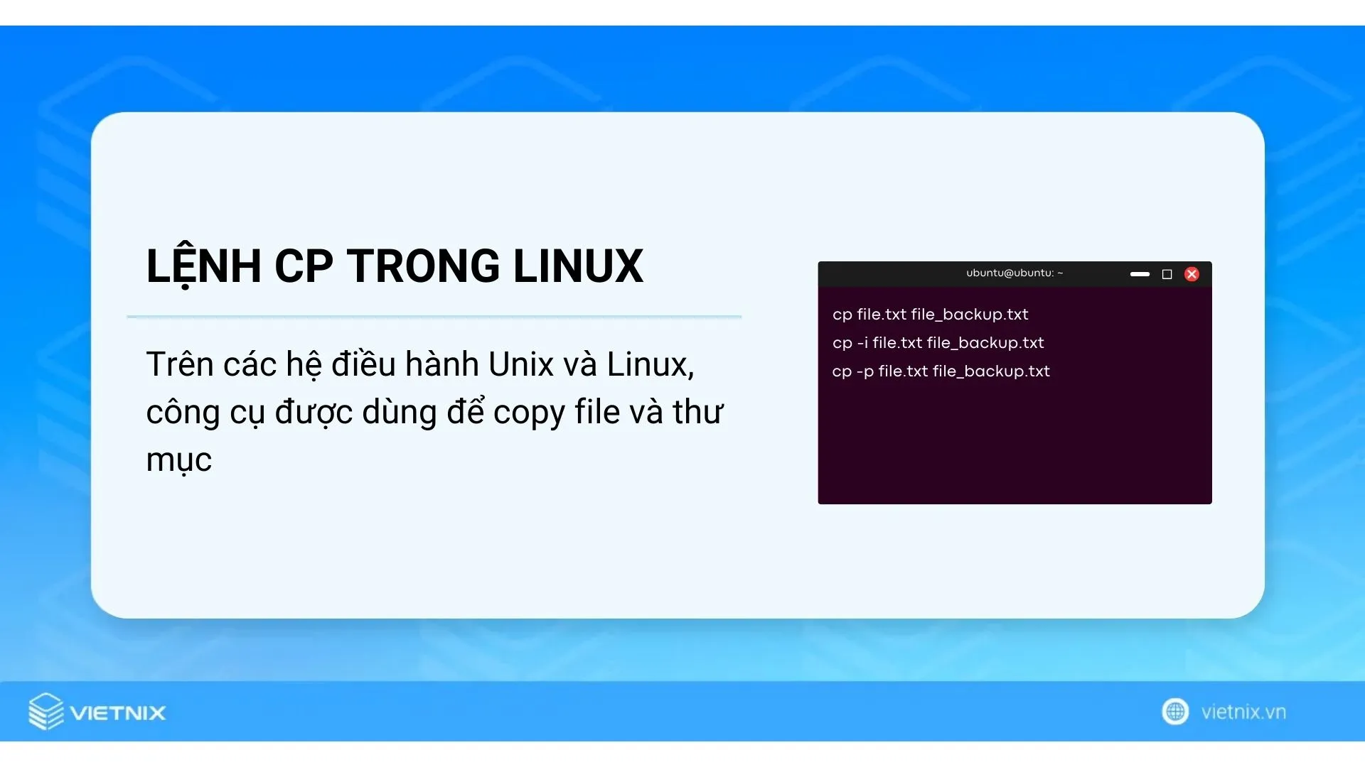 Copy file trong Linux