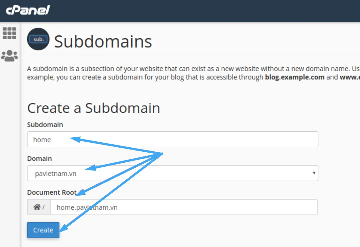 Hoàn thành đầy đủ thông subdomain PAVietnam trên cPanel