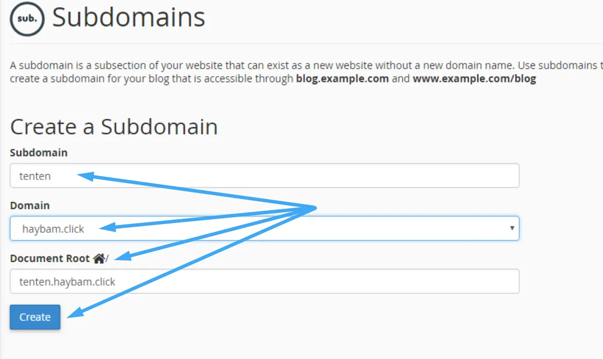 Thêm đầy đủ thông tin subdomain TenTen trên cPanel