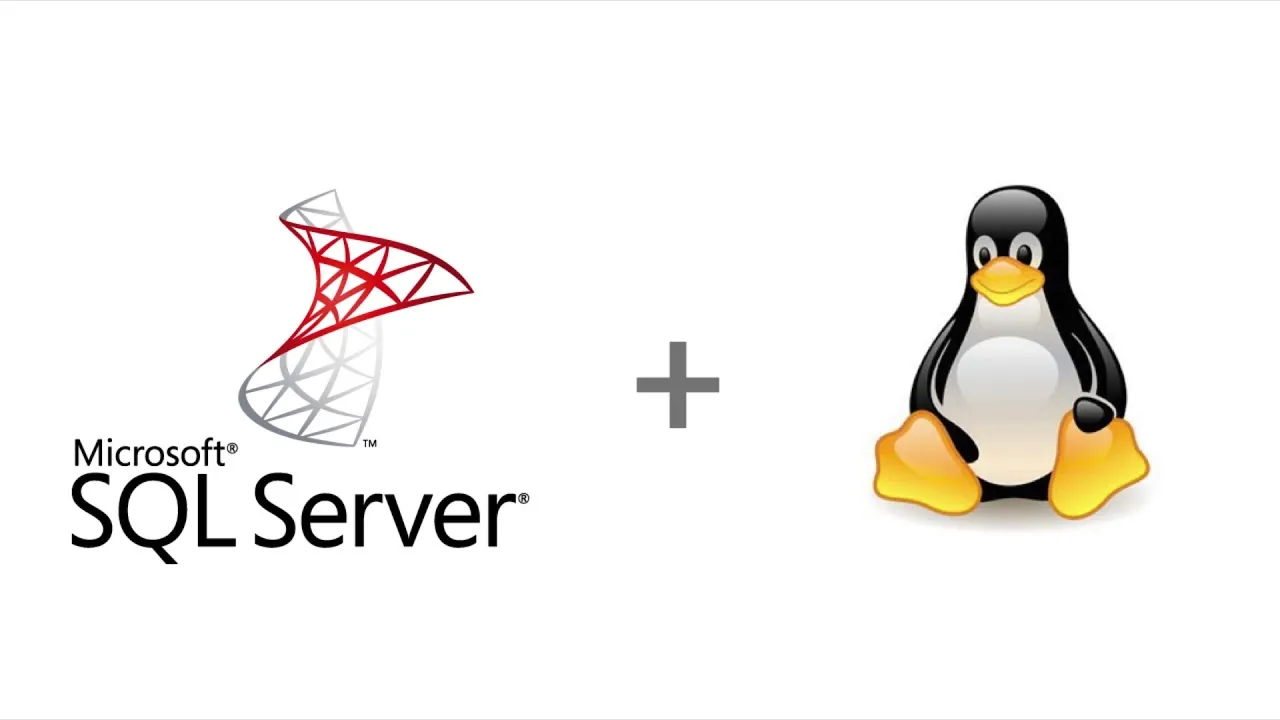 Yêu câu cài đặt cấu hình sql server trong Linux