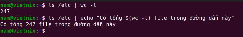 Đếm file trong thư mục trên Linux bằng lệnh wc