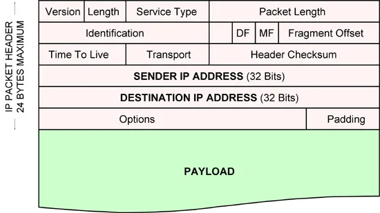Payload là gì? Định nghĩa, ảnh hưởng Payload Malware và cách phòng chống hiệu quả 11 IP Packet Payload