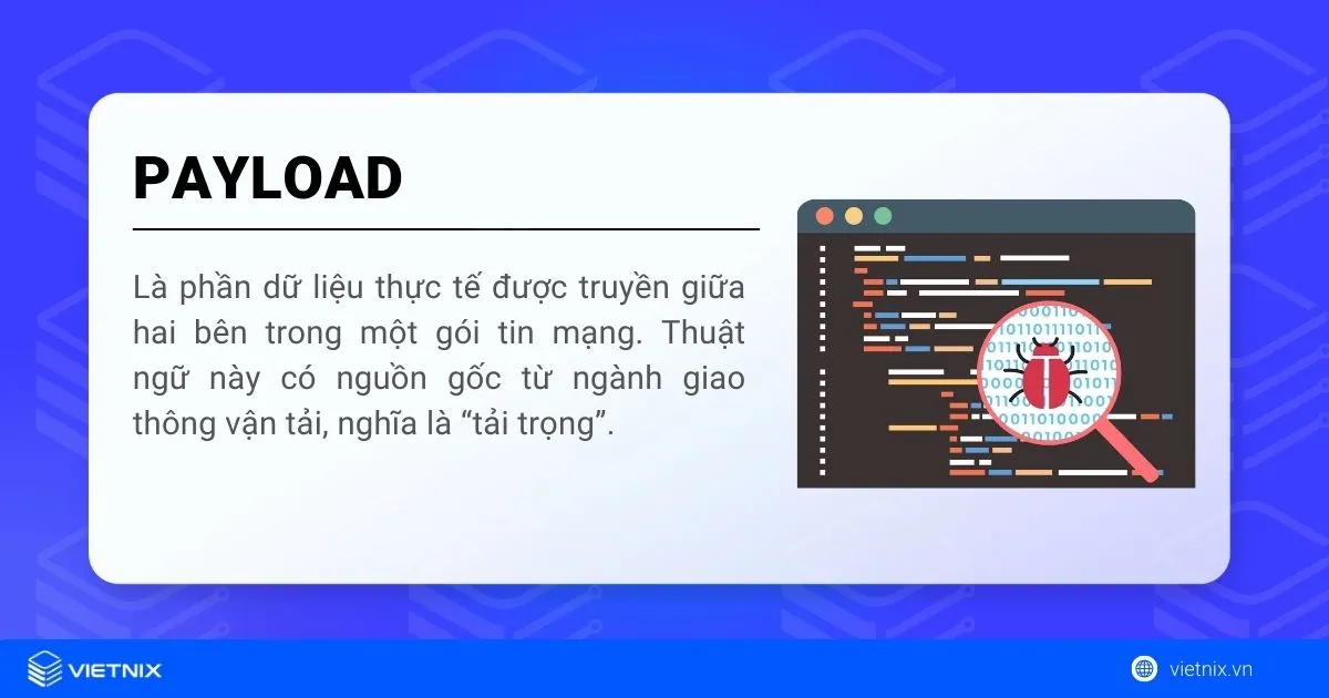Payload là gì? Định nghĩa, ảnh hưởng Payload Malware và cách phòng chống hiệu quả 10 Payload là gì?