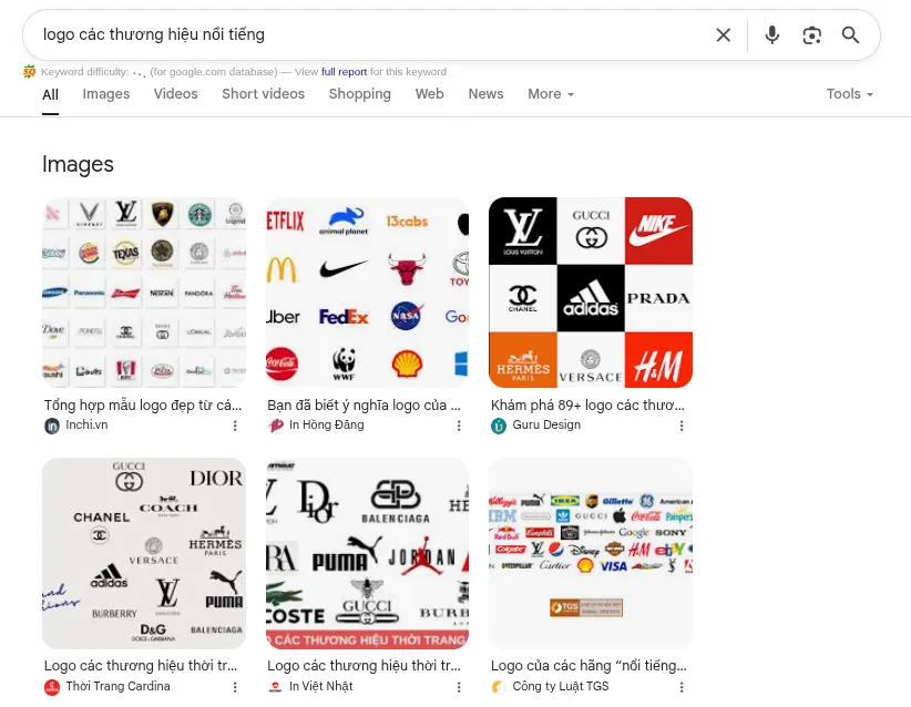 SERP là gì? Vai trò của Search Engine Result Page 32 Định dạng hình ảnh trong Google SERP