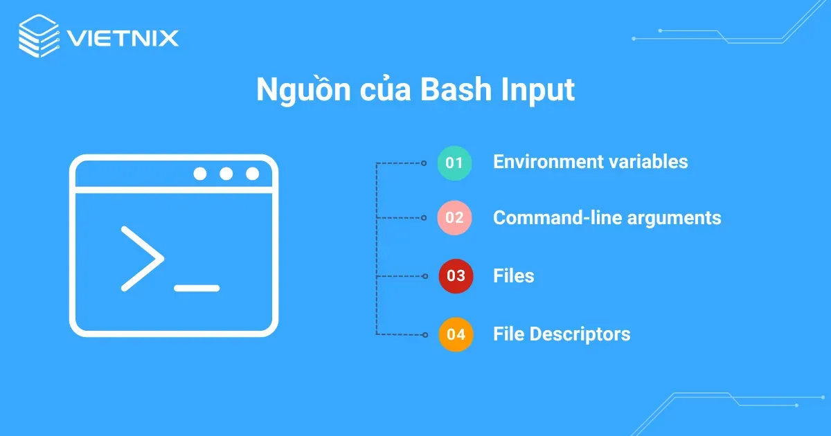 Bash Input có nguồn gốc từ đâu 