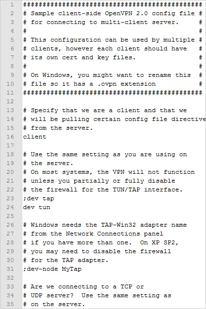 Mở tệp tin client.ovpn trong Notepad hoặc Notepad++