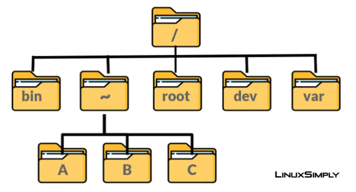 File và thư mục trong Bash