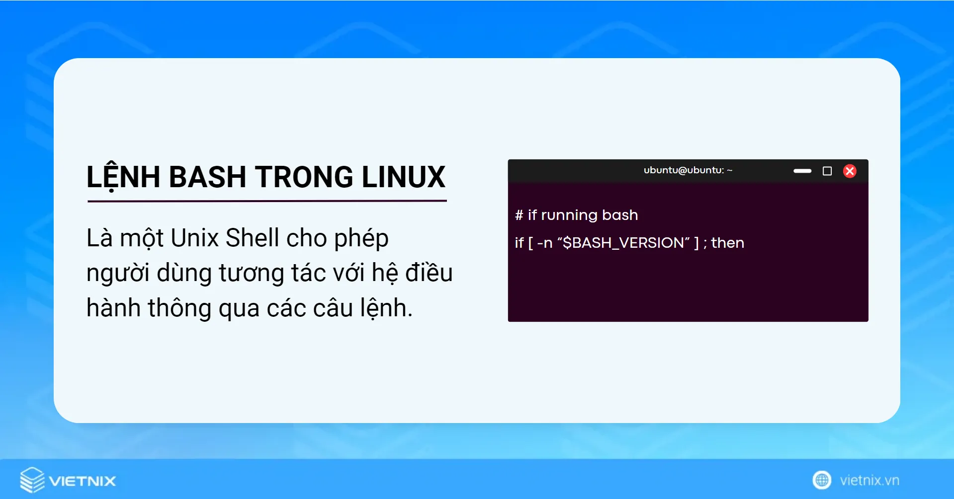 Lệnh bash trong Linux 