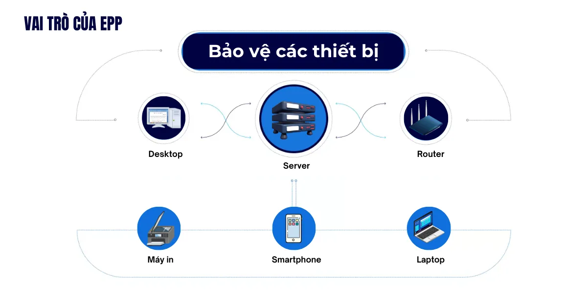 Vai trò của EPP