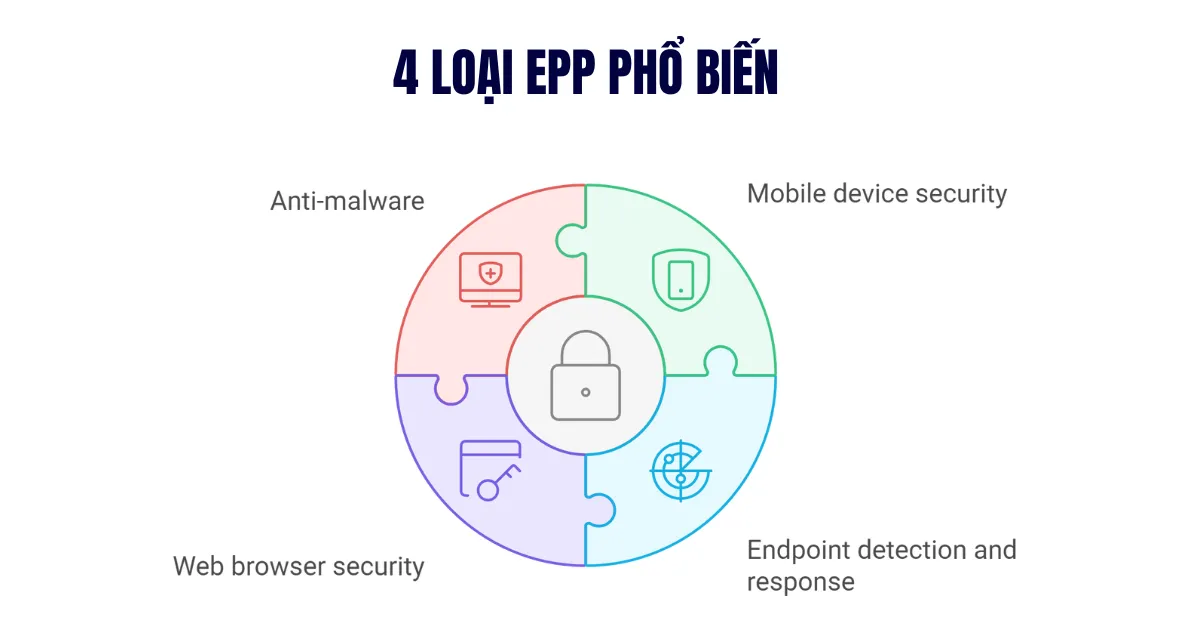 4 loại EPP được biết đến nhiều nhất