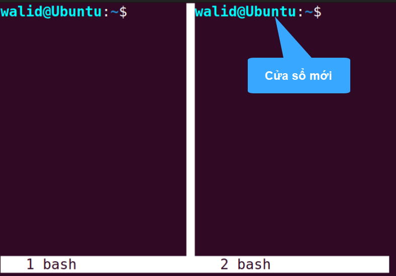 Cả hai tab đều có “walid@Ubuntu” ở đầu