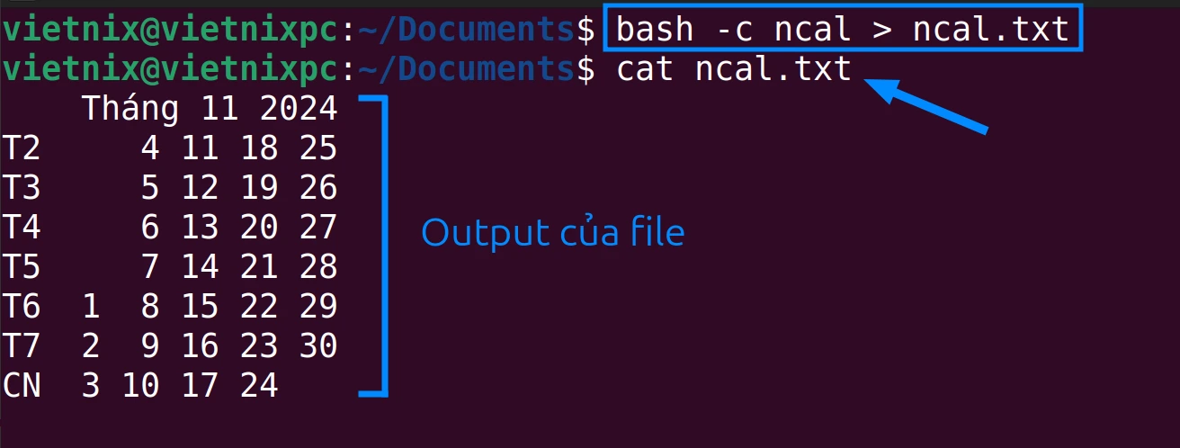 Kết quả vào một file có tên ncal.txt