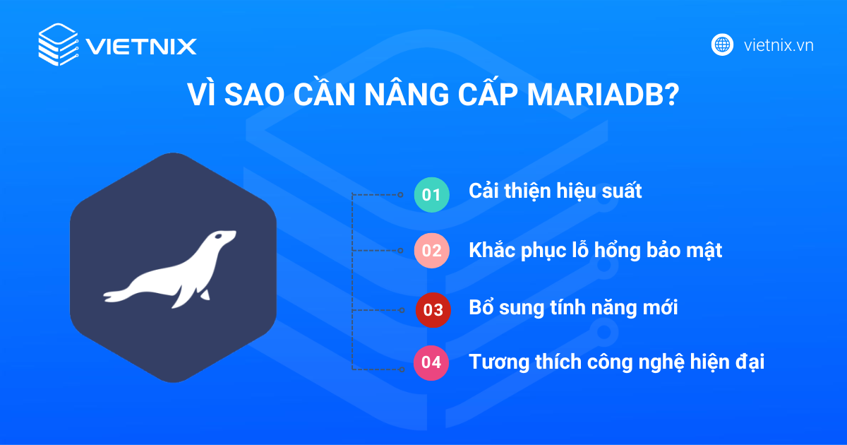2 cách nâng cấp phiên bản MariaDB trên DirectAdmin đơn giản 13 Vì sao cần nâng cấp MariaDB?