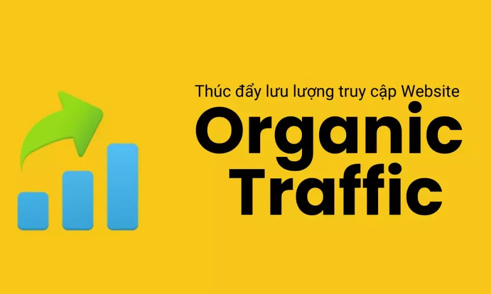 Dịch vụ SEO website tổng thể uy tín, hiệu quả 52 Tăng lượng truy cập tự nhiên (organic traffic)