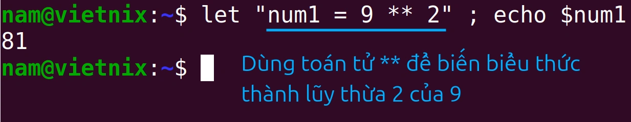 Toán tử lũy thừa