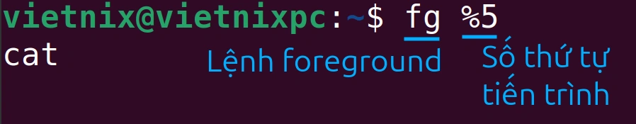 Cách sử dụng lệnh jobs trong Linux để hiển thị trạng thái của các tiến trình đang chạy 28 Xem các tác vụ chạy ở chế độ background được chuyển lên chạy ở chế độ foreground