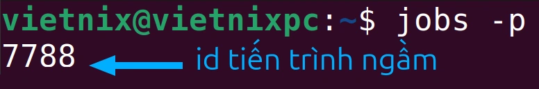 Cách sử dụng lệnh jobs trong Linux để hiển thị trạng thái của các tiến trình đang chạy 23 Xem id tiến trình của từng tác vụ