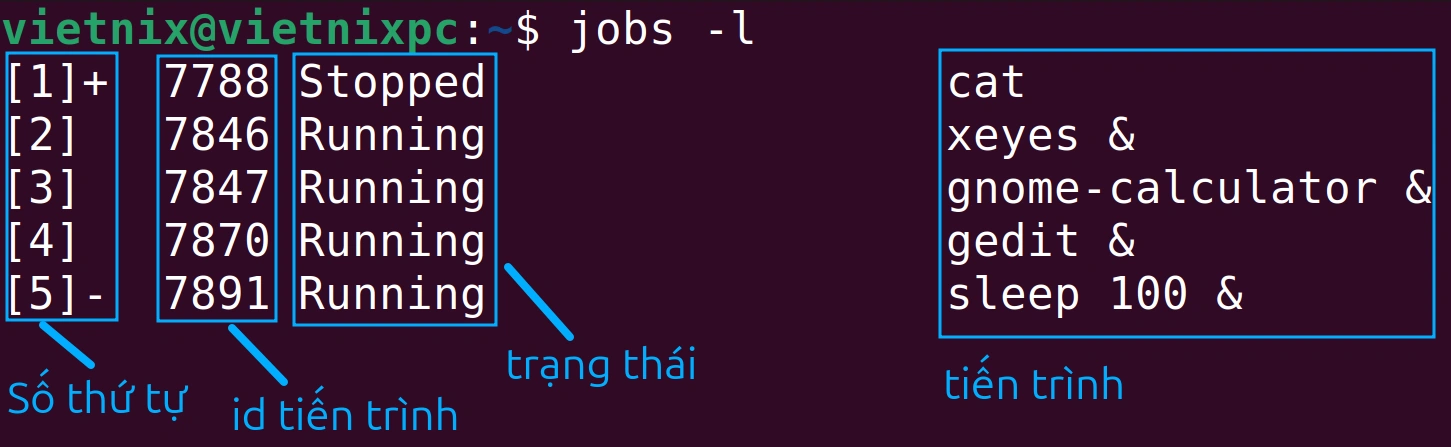 Cách sử dụng lệnh jobs trong Linux để hiển thị trạng thái của các tiến trình đang chạy 24 Xem ID tiến trình, số thứ tự và trạng thái từng tác vụ