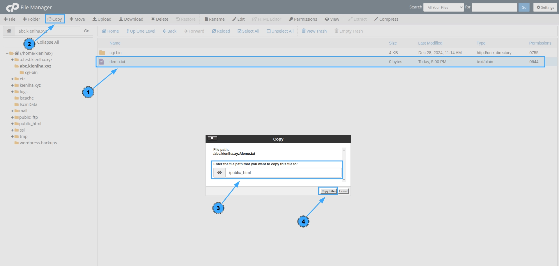 Hướng dẫn chi tiết cách sử dụng File Manager trong cPanel 37 Sao chép file