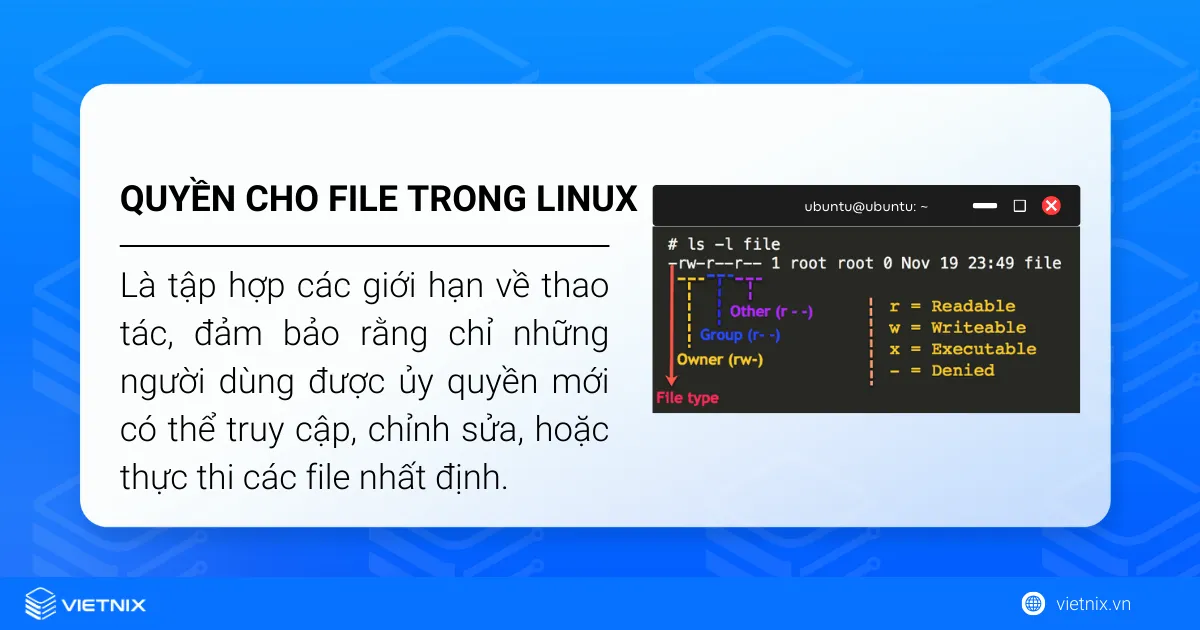 Quyền cho file trong Linux là gì?