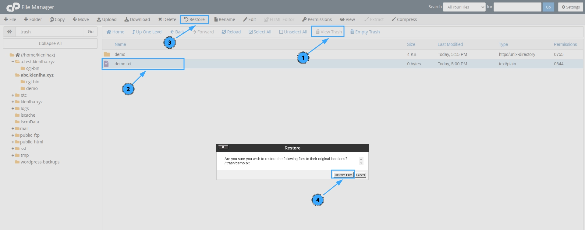Hướng dẫn chi tiết cách sử dụng File Manager trong cPanel 46 Khôi phục file và thư mục đã xoá