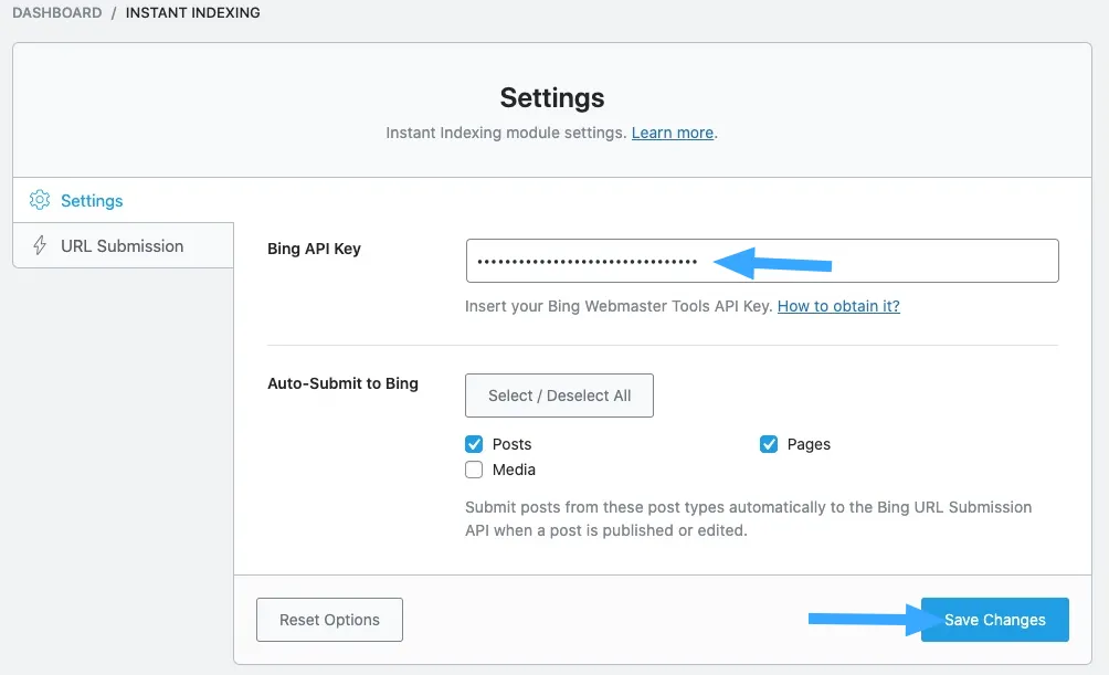 Cách sửa lỗi Failed to Submit Post to the Bing URL Submission API Error chi tiết 31 Cấu hình khóa API Bing trong cài đặt Instant Indexing